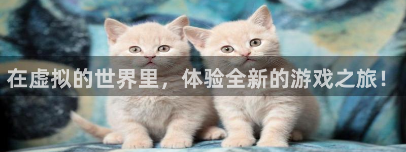 沐鸣2账号注册：在虚拟的世界里，体验全新的游戏之旅！