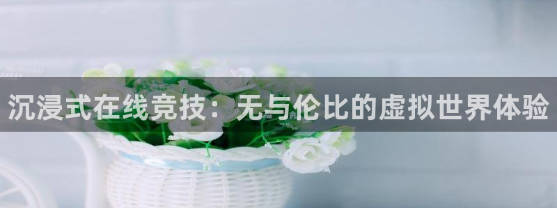 沐鸣2平台测速：沉浸式在线竞技：无与伦比的虚拟世界体验