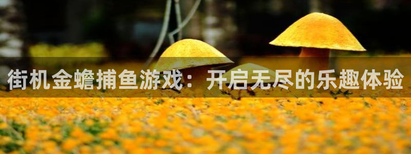 沐鸣2：街机金蟾捕鱼游戏：开启无尽的乐趣体验